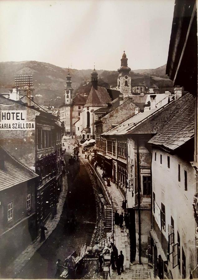 Penzión Rozália Banska Stiavnica Exterior foto