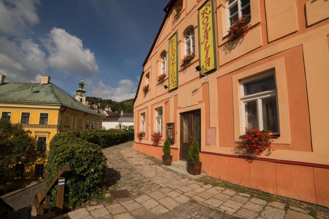 Penzión Rozália Banska Stiavnica Exterior foto